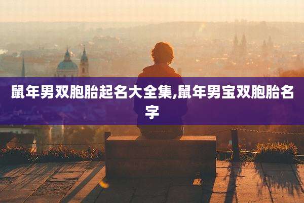 鼠年男双胞胎起名大全集,鼠年男宝双胞胎名字