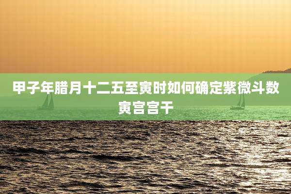 甲子年腊月十二五至寅时如何确定紫微斗数寅宫宫干