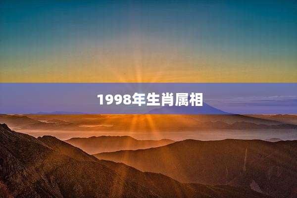 1998年生肖属相