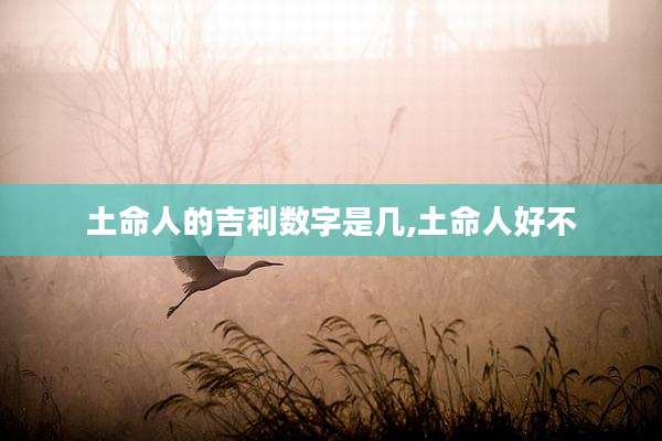 土命人的吉利数字是几,土命人好不