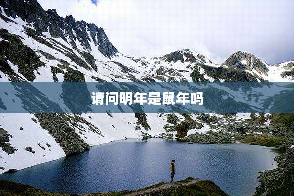 请问明年是鼠年吗