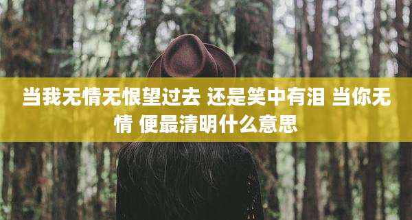 当我无情无恨望过去 还是笑中有泪 当你无情 便最清明什么意思