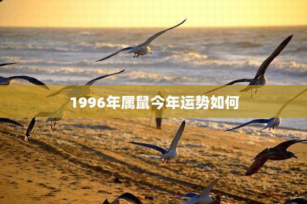 1996年属鼠今年运势如何