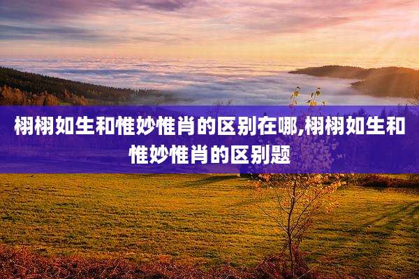 栩栩如生和惟妙惟肖的区别在哪,栩栩如生和惟妙惟肖的区别题