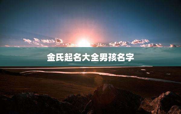 金氏起名大全男孩名字