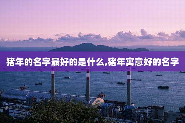 猪年的名字最好的是什么,猪年寓意好的名字