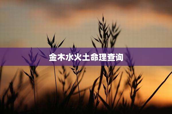 金木水火土命理查询