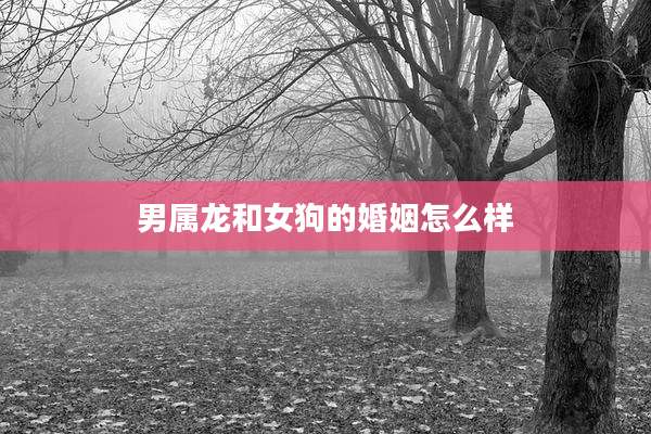 男属龙和女狗的婚姻怎么样
