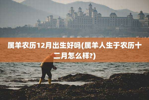 属羊农历12月出生好吗(属羊人生于农历十二月怎么样?)