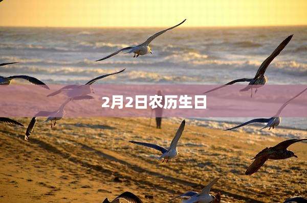 2月2日农历生日