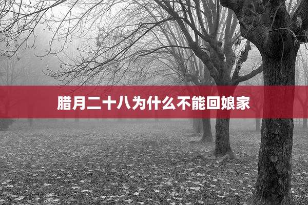 腊月二十八为什么不能回娘家