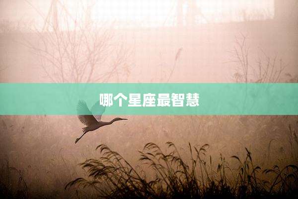 哪个星座最智慧