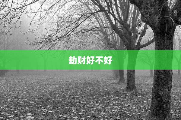 劫财好不好