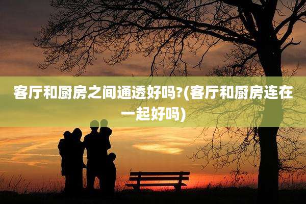 客厅和厨房之间通透好吗?(客厅和厨房连在一起好吗)
