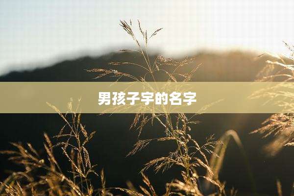 男孩子宇的名字