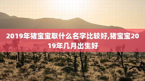 2019年猪宝宝取什么名字比较好,猪宝宝2019年几月出生好