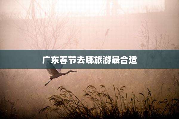 广东春节去哪旅游最合适