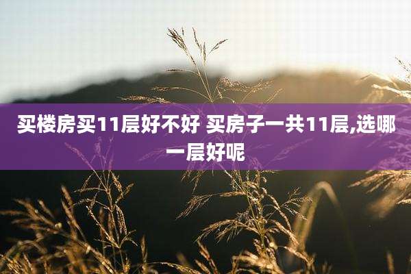 买楼房买11层好不好 买房子一共11层,选哪一层好呢