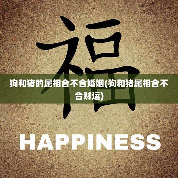 狗和猪的属相合不合婚姻(狗和猪属相合不合财运)