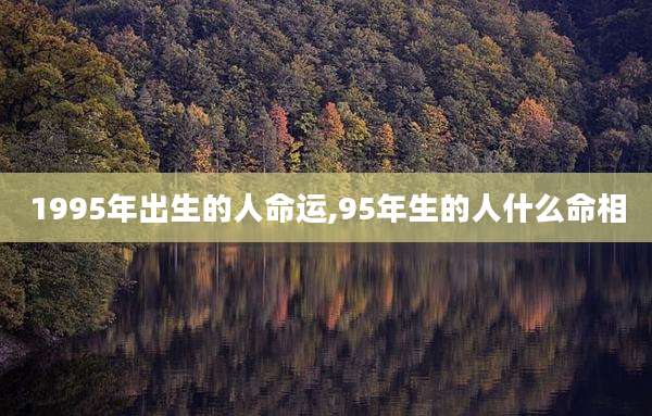 1995年出生的人命运,95年生的人什么命相
