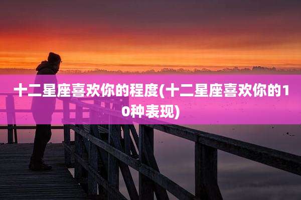 十二星座喜欢你的程度(十二星座喜欢你的10种表现)