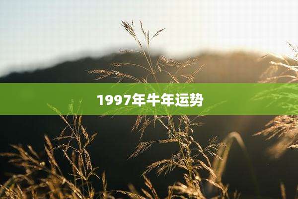 1997年牛年运势