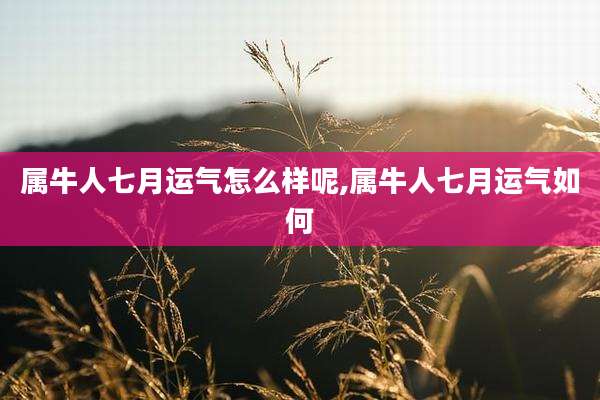 属牛人七月运气怎么样呢,属牛人七月运气如何