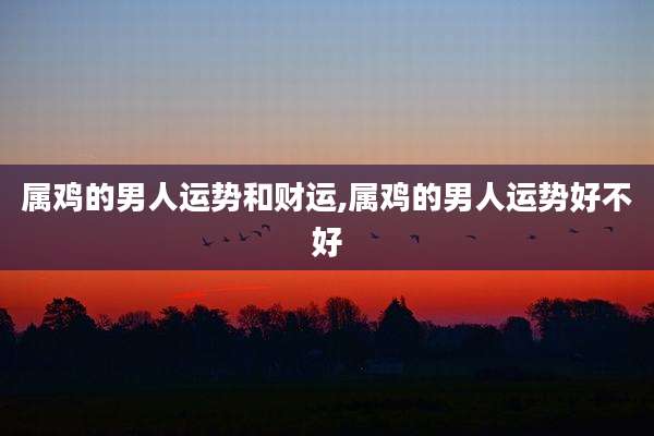 属鸡的男人运势和财运,属鸡的男人运势好不好