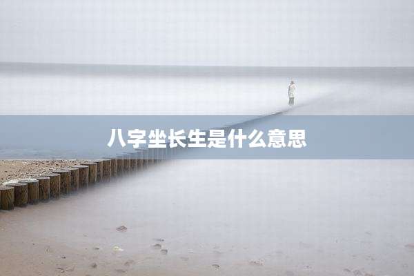 八字坐长生是什么意思