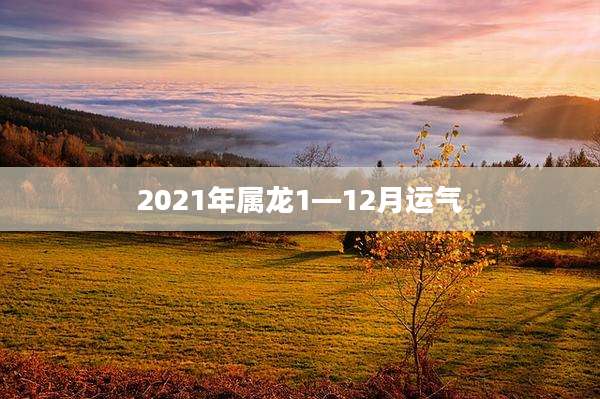 2021年属龙1—12月运气
