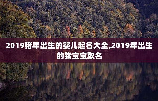 2019猪年出生的婴儿起名大全,2019年出生的猪宝宝取名