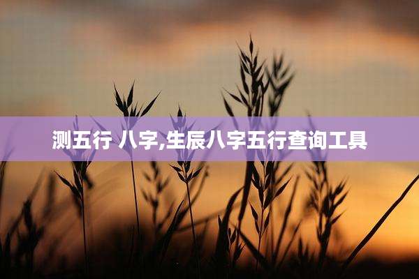 测五行 八字,生辰八字五行查询工具