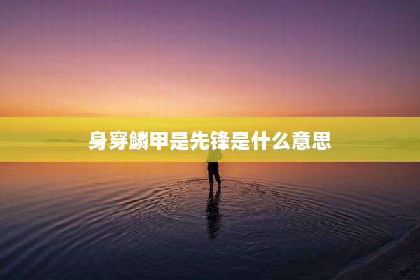 身穿鳞甲是先锋是什么意思