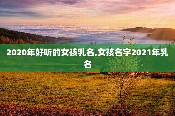 2020年好听的女孩乳名,女孩名字2021年乳名