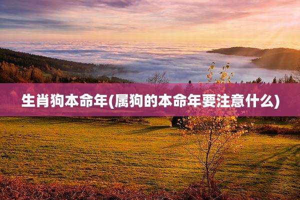 生肖狗本命年(属狗的本命年要注意什么)