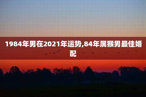 1984年男在2021年运势,84年属猴男最佳婚配