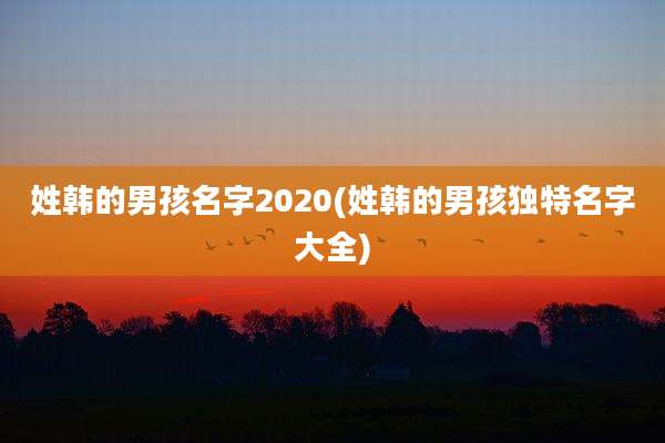 姓韩的男孩名字2020(姓韩的男孩独特名字大全)