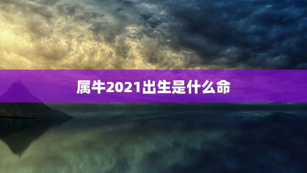 属牛2021出生是什么命