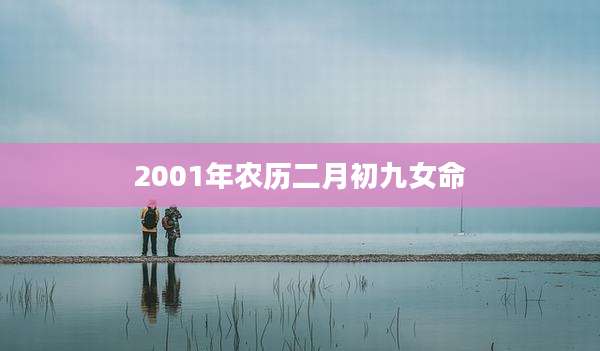 2001年农历二月初九女命