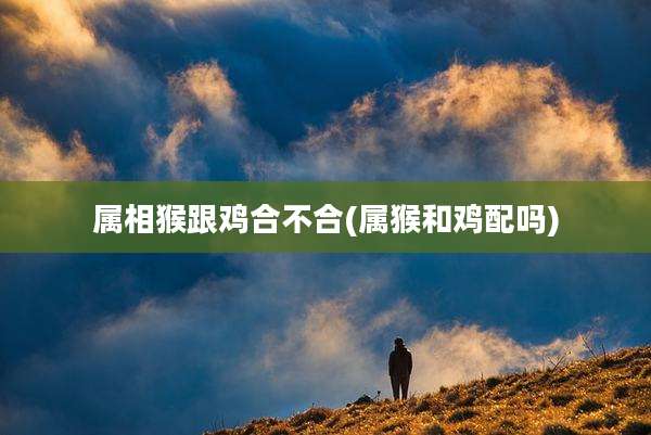 属相猴跟鸡合不合(属猴和鸡配吗)