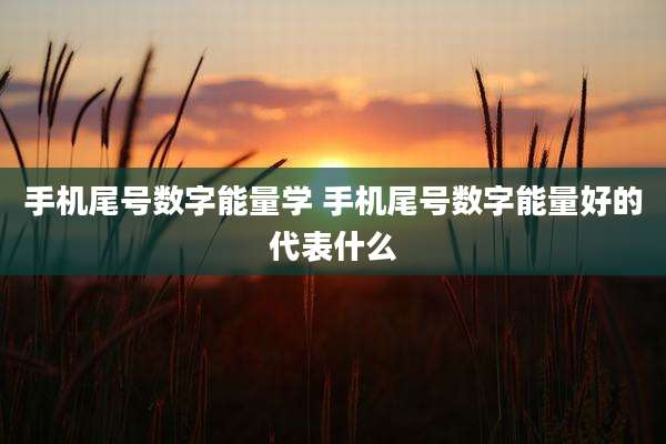 手机尾号数字能量学 手机尾号数字能量好的代表什么