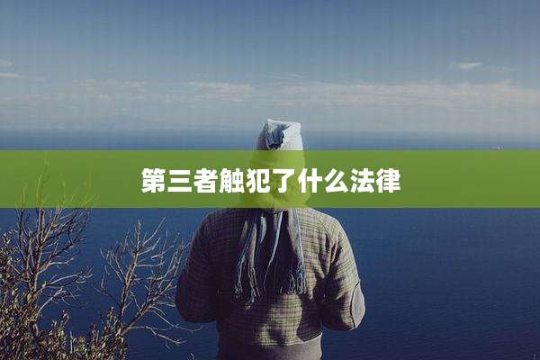 第三者触犯了什么法律