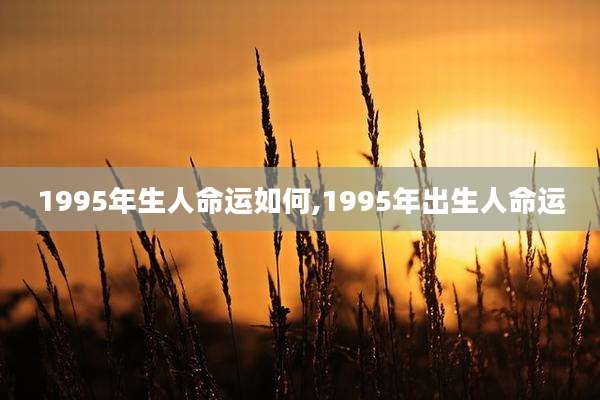 1995年生人命运如何,1995年出生人命运