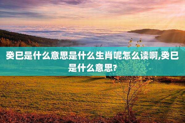 癸巳是什么意思是什么生肖呢怎么读啊,癸巳是什么意思?