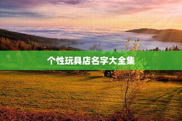 个性玩具店名字大全集