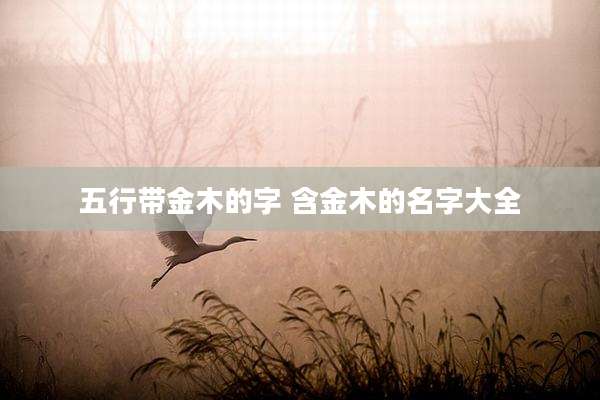 五行带金木的字 含金木的名字大全
