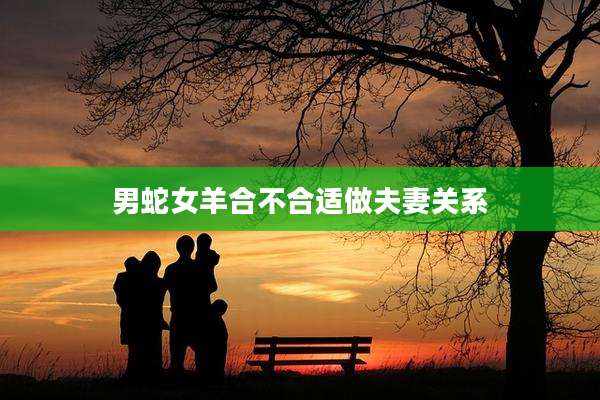 男蛇女羊合不合适做夫妻关系