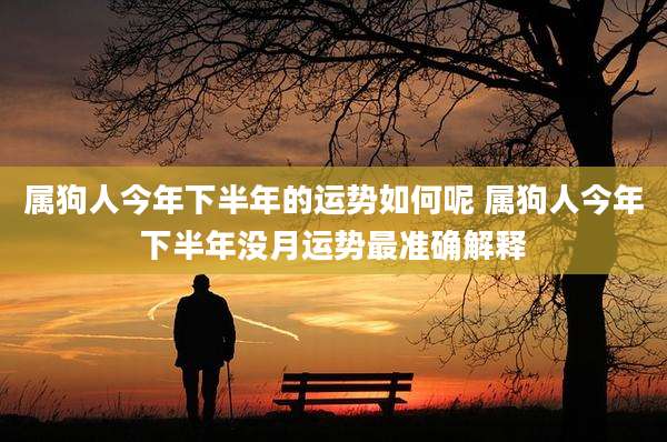 属狗人今年下半年的运势如何呢 属狗人今年下半年没月运势最准确解释