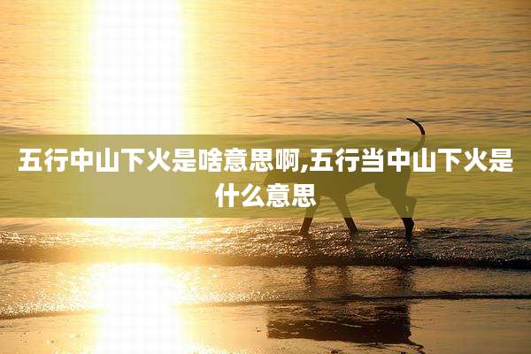 五行中山下火是啥意思啊,五行当中山下火是什么意思
