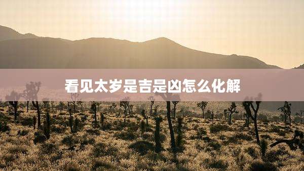 看见太岁是吉是凶怎么化解